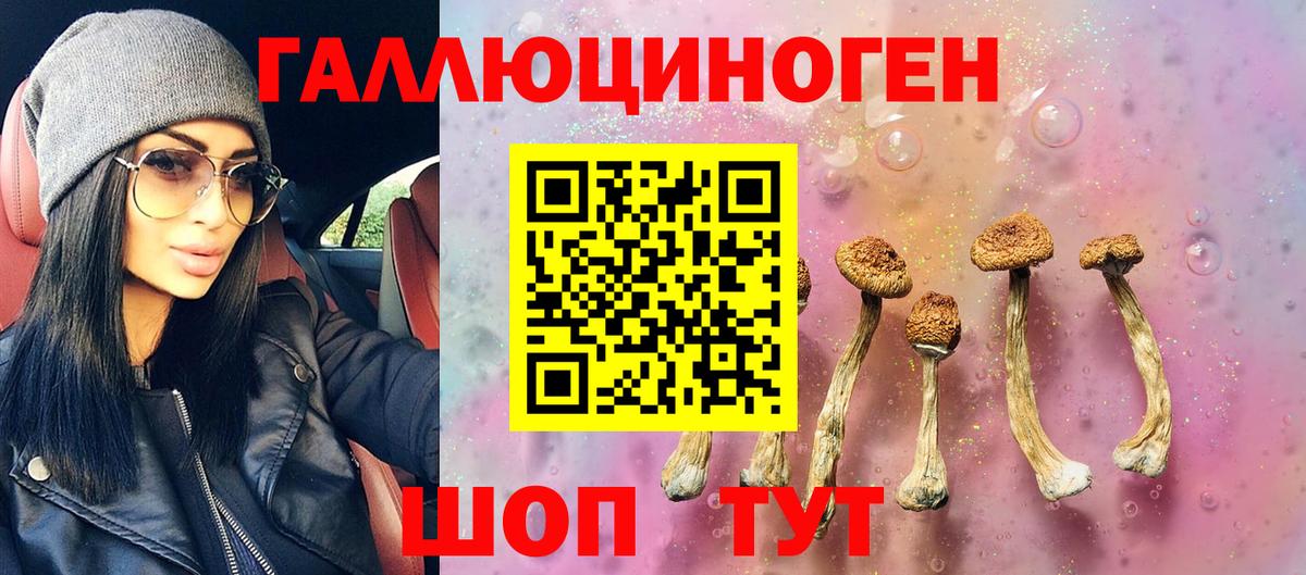Псилоцибиновые грибы Psilocybine cubensis Городец
